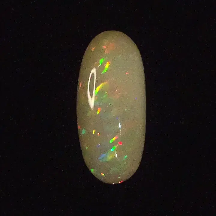7.04 ct White Opal - Oval