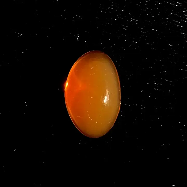 2.87 ct Orange Opal - Oval