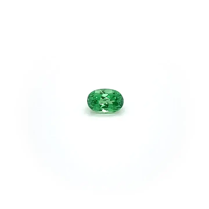 0.63 ct Green Garnet-Tsavorite - Oval